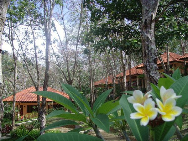 Koh Mook Rubber Tree Bungalows Dış mekan fotoğraf